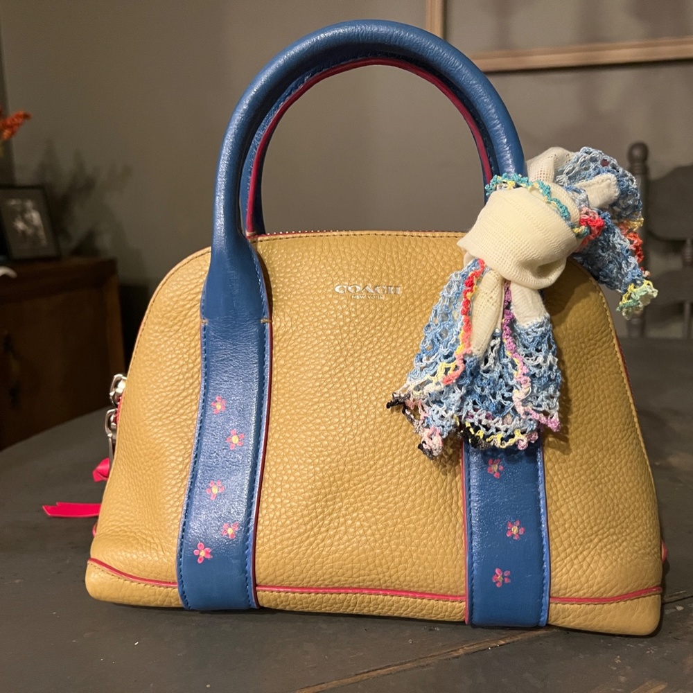 Hand-Painted COACH Bleecker Preston Satchel Bag with Pebbled Leather
